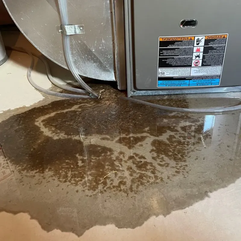 Pipe Burst and Leak Restoration in Gunnison, UT