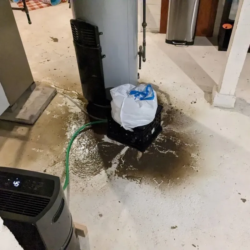 Sewage Backup Cleanup Service in Gunnison, UT